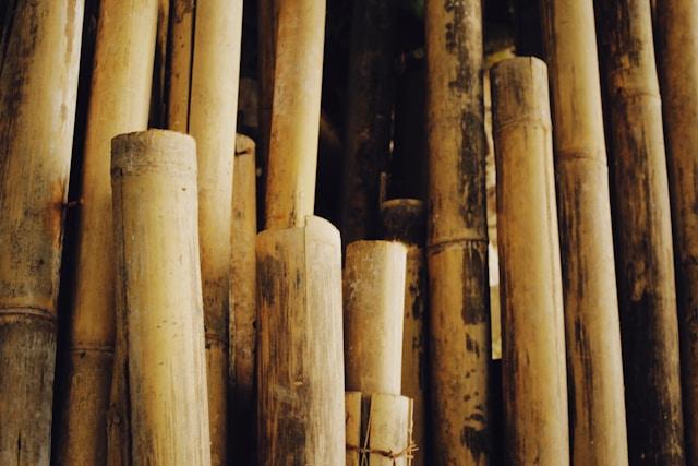 A Complete Guide to Bamboo Joinery Techniques
