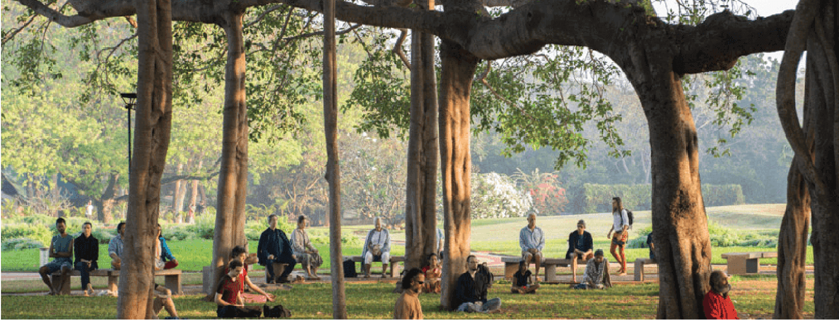 What Do Landscape Architects Really Do? A Glimpse Into Green Dreams & Built Realities
