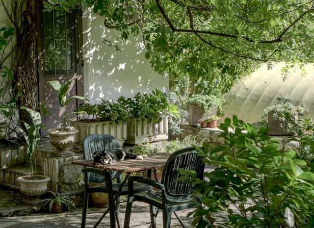 Landscape Design Do’s and Don’ts: A Practical Design Guide